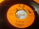 FLUORESCENT SMOGG ALL MY LIFE 2013 LTD REISSUE VINYL 7