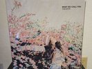 TAEYEON 'WHAT DO I CALL YOU' Official Limited Edition Vinyl LP New