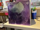 NM   Still Sealed   The Groupies   LP   Vinyl   1st Press   Psych   Acid