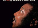 Muddy Waters: The Best of Muddy Waters [Vinyl] UK - Import