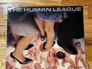 The Human League - Reproduction Vinyl - Virgin LP