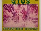 ORIGINAL Vtg 1969 GTO's Album PERMANENT DAMAGE Record 1ST PRESSING Rare Lp VINYL