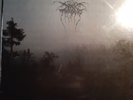 Darkthrone- Black, Death and Beyond, Limited Lp Box, near mint, Black Metal
