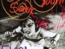 Sonic Youth Evol Records & LPs New