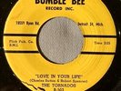 DOO WOP 45 TORNADOS BUMBLE BEE 503 LOVE IN YOUR LIFE / GENI IN THE JUG