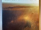 Saves the Day - Stay What You Are 12” vinyl LP record ORIGINAL RARE   Emo Punk