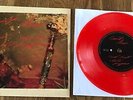 RED HOT CHILI PEPPERS - Can't Stop 7