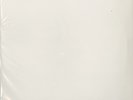 Unreleased Tool, Aenima 180g (Side C/D) LP Test Pressing (M. Hobson Archives)