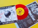 NE BUoni Ni Cattivi : Italian Hardcore Punk Stalag 17 IRAH 1983 Red Vinyl w Book