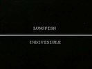 Lungfish - Indivisible LP - vinyl NEW