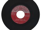 DESMOND DEKKER - RUDE BOY GONE TO JAIL - SHARKS - DON'T FOOL ME -7''