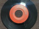 HEAR  RARE VG GARAGE PUNK 45 The Snails Love Theme When I Met You PERFECTION
