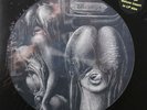 The Shiver-Walpurgis Swiss prog psych picture disc lp reissue new 8 pg insert