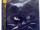 C.C. CATCH CATCH THE CATCH HANSA VIL28059 JAPAN OBI OBI VINYL LP