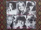 BRADY BUNCH 1973 CLEAN 45 rpm RECoRD ZUCKERMAN'S FAMoUS PIG CooL PICTURE SLEEVE