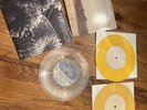 ryan adams rare vinyl california and now that youre gone 2 albums