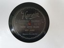 1x 78 rpm Schellack Skip James Herwin Blues TOP NOTCH