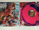 Abominable Putridity Anomalies Of Artificial Origin vinyl, rings of saturn