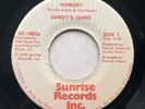 Sandy’s Gang”Hungry”Disco,Soul,Funk 1976 Vinyl 45,Near Mint
