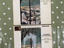 ASDS 551 and ASD 552 Schubert Winterreise Dietrich Fischer-Dieskau, White/Gold 