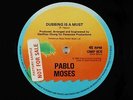 Pablo Moses - Dubbing Is A Must 12