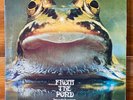 Froggie Beaver – From The Pond – Debut Psych-Prog Rock Vinyl LP-OG Private Press