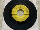 THE EMERALDS 1966 Like Father Like Son/Emerald City Garage Rock Surf 45 RARE
