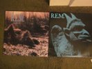 REM (2)disc lot, their first two albums/Murmur, Chronic Town/both discs EX, IRS