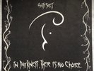 Antisect: In Darkness, There Is No Choice LP Spiderleg SDL15 Crass Conflict Punk