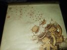 FAMILY : ANYWAY ORIGINAL PROMOSTICKERED LP 1972 REPRISE RS 9005 GERMANY