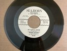 Maurice Williams 45 MY BABY'S GONE / RETURN Sea-Horn SH-503 *PROMO *CBN S/H