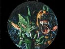 PICTURE LP Tankard Hair Of The Dog - The Very Best Of Tankard Noise Internati