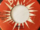 THE VELONS - Orig Doo-wop BLAST 45 From the Chapel / Shelly 216 VG+ PROMO
