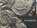 The Sundays Reading Writing and Arithmetic Rare 1st Press Vinyl