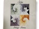 Gotye - Making Mirrors Vinyl Record 2xLP / Mint / with Booklet