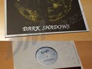 COLD SUN Dark Shadows LP Rockadelic Test Pressing Psychedelic Rock 1990 TOP Rare