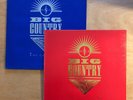 VINYL BIG COUNTRY The Crossing MERCURY MERS 27 Inner UK Original 2 x LP EX
