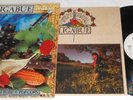 LIGABUE LAMBRUSCO COLTELLI ROSE & POP CORN LP 1991 + BOOTLEG