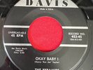 The Pyramids - At Any Cost / Okay Baby  - Davis - RARE ORIG R&B DOOWOP 45