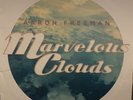 Marvelous Clouds by Aaron Freeman (Vinyl Record, 2012) VG+ WEEN Indie Rock ALT