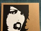 Carina Round - The Disconnection RARE DIY Self-Released Autographed Marble Vinyl