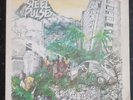 Steel Pulse Handsworth Revolution 12