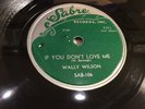 FIVE ECHOES  WALTER SPRIGGS as WALLY WILSON- SABRE 106 (CHANCE)-THE HUNT DOO-WOP