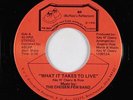 Modern Soul 45 - Chosen Few Band - What It Takes To Live - BR - VG++ mp3