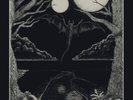 Nocturn: Wretched Abyss [Vinyl] Stock