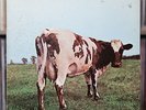Pink Floyd - Atom Heart Mother - 1970 Harvest, VG+/VG
