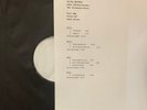 13TH FLOOR ELEVATORS - THE REUNION CONCERT - TEST PRESSING DLP - NEW