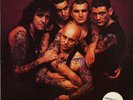ROSE TATTOO SCARRED FOR LIFE LP 1990 UK REISSUE NUMBERED RED VINYL LTD ED RARE