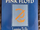Pink Floyd Learning To Fly Rare 12” Promotional Vinyl