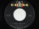 Northern Soul 45 - Jo Ann Garrett - A Whole New Plan - Chess - mp3